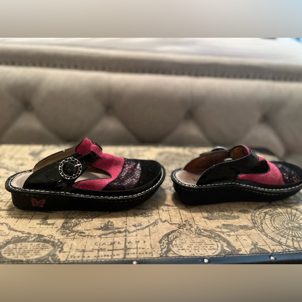 Algeria mules